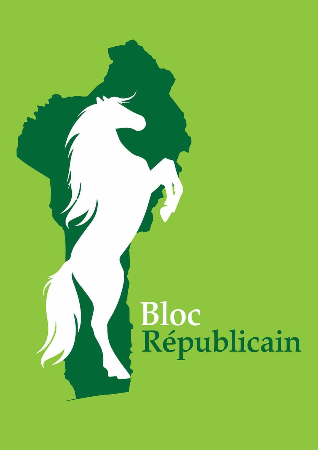 constitution-le-parti-le-bloc-r-publicain-prend-acte-de-la